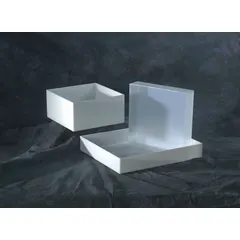 Rectangular Lab Tray, Polypropylene, 39.33 L, 20 x 20 in