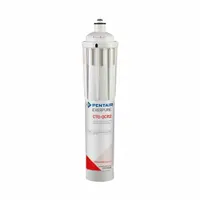 EVERPURE Water Filter Cartridge: 0.5 micron, 1.7 gpm, Everpure, 23 5/16 in Overall Ht, 10,000 gal (MPN 300-05833)