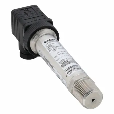 ASHCROFT Sanitary Pressure Transmitter with Cable & Wire Leads - Sanitary Pressure Transmitters with Cable & Wire Leads