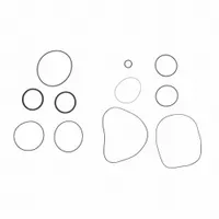 FILL-RITE Viton Seal Kit: Viton Seal Kit, Fill-Rite, (2) Square Seals/(7) O-Rings (MPN SK20VIT-V06)