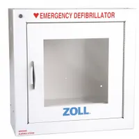 Wall Cabinet: Wall Cabinet, Alarm Included, Stainless Steel, White, 17 1/2 in Overall Ht, 8000-0855 (MPN 8000-0855)