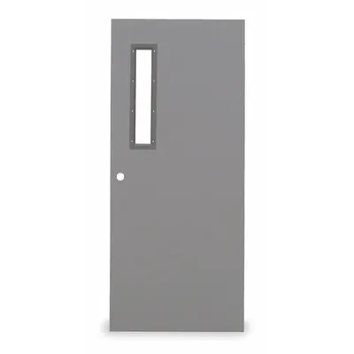 CECO Narrow Light Steel Door: Rectangle Window, 90 min Fire Rating, 80 in Door Opening Ht - Security Doors