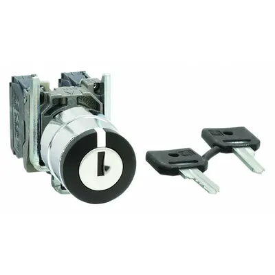 SCHNEIDER Selector Switch: 3 Position, 22 mm Panel Mounting Size, 2NO - Panel-Mounted Key Switches with Contacts
