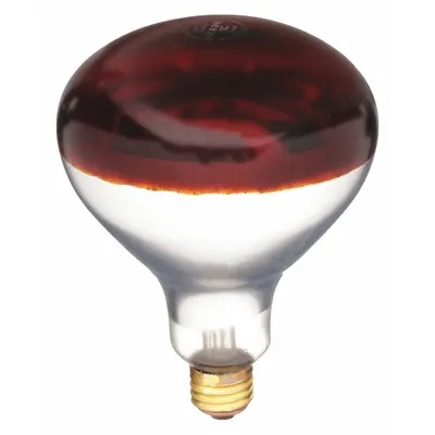 SHAT-R-SHIELD 250R40/HT/RED 250W R40 Medium Screw (E26) Frosted - Reflector Heat Lamps
