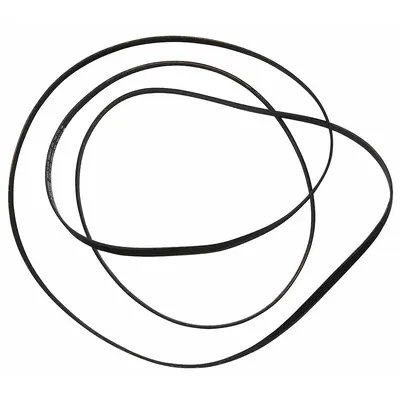 WHIRLPOOL Belt: WP33002535 - Whirlpool Washing Machine & Dryer Parts