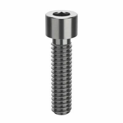 FOREVERBOLT Socket Head Cap Screw: 1/4"-20 Thread Size, 1 in Lg, Std, NL-19, Stainless Steel - Inch System Standard Socket Head Cap Screws