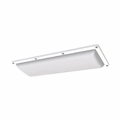 IRONCLAD Surface Mount Fixture: 4,200 lm, 5000K, 40 W, 120/277V AC, Steel, 2 ft Lg - Linear Vandal-Resistant LED Lights