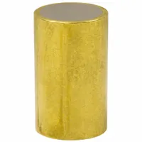 This cylindrical rare earth magnet is a shielded, encased type with a brass exterior. It measures 3/16 in outside diameter and 0.25 in thickness, providing a maximum pull force of 0.37 lbf. Suitable for holding, positioning, or sensing in confined spaces, it is commonly used in instrumentation, automation, and light-duty fixturing