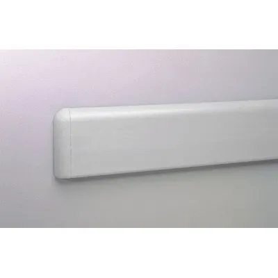 PAWLING PETG Crash Rail & Bumper Guard, Silver Gray, 4 in Ht, 12 ft Lg - PETG Crash Rails & Bumper Guards