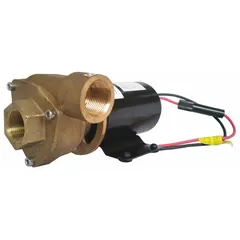 Brass-constructed marine straight centrifugal pump for circulating or transferring water on boats. Operates on 36V DC with 3/4-inch intake and discharge ports. Delivers a maximum head of 17 ft.