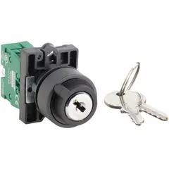 This panel-mounted key switch features a 2-position maintained/maintained action with a 1NO contact form. It accepts a 22 mm panel cutout and allows key removal in any position. Suitable for industrial control applications requiring secure operator access, such as enabling or disabling machinery or serving as a safety interlock.