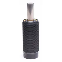 Gas Spring: M38x1.5 Thread Size, 9 3/4 in Ext Lg, 790 lbf Force, End Fittings Not Included (MPN TM 250-100)