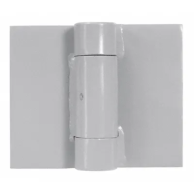 BEST BB852 5X6 PRISON DOOR HINGE P STL Full Surface-Mount Butt Hinge - Full Surface-Mount Butt Hinges