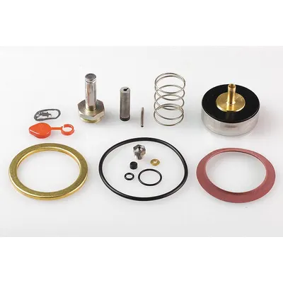 ASCO Valve Rebuild Kit (MPN 310387) - Repair Kits for Solenoid Valves