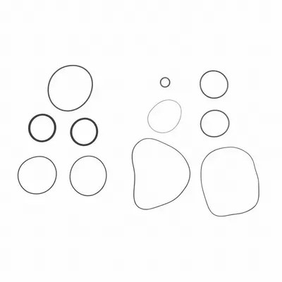 FILL-RITE Viton Seal Kit: Viton Seal Kit, Fill-Rite, (2) Square Seals/(4) O-Rings (MPN SK20VIT) - Pumps