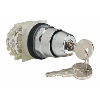 SCHNEIDER Selector Switch: 2 Position, 30 mm Panel Mounting Size, DPDT - Panel-Mounted Key Switches with Contacts