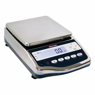 RICE LAKE WEIGHING SYSTEMS Food Scale - Food Scales