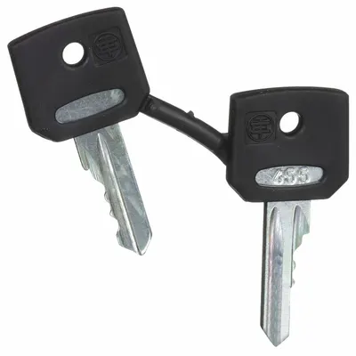 SCHNEIDER Selector Switch Key: 455 Key Code - Replacement Keys