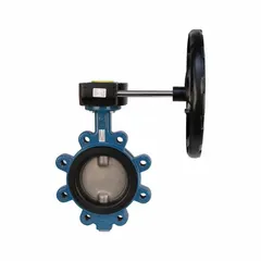 This 20-inch ductile iron butterfly valve features a concentric design with lug-style connections for easy installation and removal. The stainless steel disc provides corrosion resistance, while the gear-operated handwheel enables precise throttling control. Rated for 250 psi CWP, it is suitable for on-off and throttling service in water, air, and non-aggressive fluid systems.