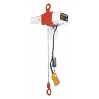 HARRINGTON Electric Chain Hoist: H2 - Light Duty, 120V AC, Hook Mounted - No Trolley, 2 Speeds (MPN ED125DS-10)