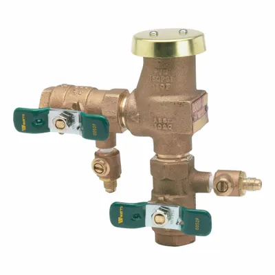 Watts Freeze Resistant Vacuum Breaker: 800M4-FR, FNPT x FNPT, For Water Media - Pressure Vacuum Breakers