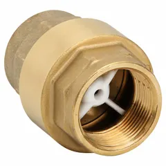 This brass inline disc check valve features a poppet design for backflow prevention in piping systems. It has a 1 1/4 inch pipe size with FNPT x FNPT female NPT connections. The inline valve body allows straightforward installation in water, oil, and gas lines where compact sealing is required.