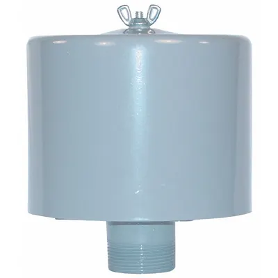 SOLBERG F-19P-100 Air Compressor Intake Filter Silencer - Air Compressor Intake Filters & Silencers