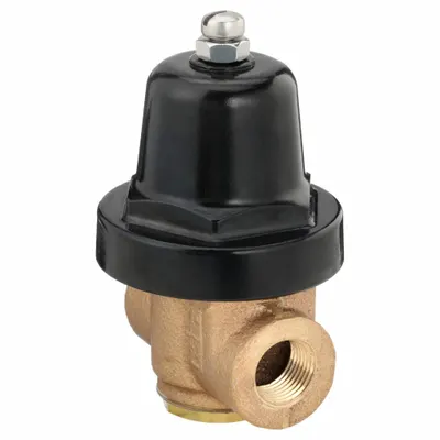 CASH VALVE A16-BWSASBBF01-D3-0058 Brass General Purpose Pressure Regulator - Brass General Purpose Pressure Regulators