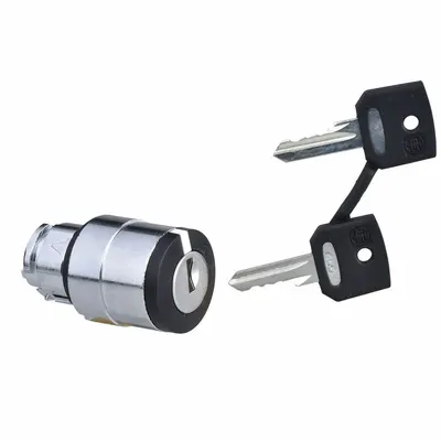 SCHNEIDER Keyed Selector Switch: 3 Position, 22 mm Panel Mounting Size - Panel-Mounted Key Switches without Contacts