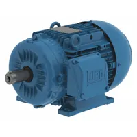 WEG Metric Motor: 10 hp, Rigid Base Mount, 132S Frame Size, Totally Enclosed Fan Cooled, 460V AC (MPN 13984842)