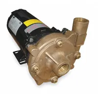 Centrifugal Pump: 3/4 hp, 230/460V AC, 98 ft Max Head, 1 1/4 in, 1 in Intake and Disch (MPN 2ZWZ9)