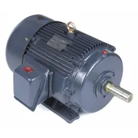 MARATHON MOTORS General Purpose Motor: Rigid Base Mount, Totally Enclosed Fan Cooled, 40 hp (MPN 324TTFCD6026)