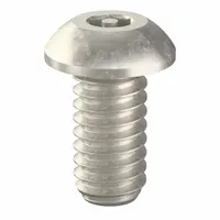 Button head tamper-resistant machine screw with a 1/4-20 thread, 1/2 inch length, and 5/32 inch drive size. Designed for security-sensitive applications where standard fasteners are vulnerable to unauthorized removal. Requires a special tamper-resistant tool for installation and removal. Supplied in a pack of 25