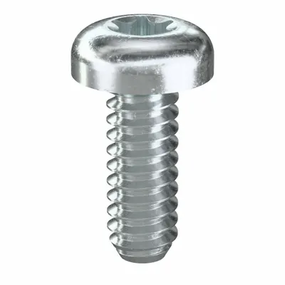 TAMPER PRUF SCREW Machine Screw: #6-32 Thread Size, 3/8 in Lg, Steel, Zinc-Plated, Pan, Torx/Star - Pan Head Machine Screws