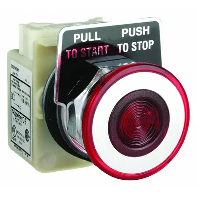 SCHNEIDER Mushroom Head Push Button: Red, 30 mm Mounting Size, Metallic - Illuminated Mushroom-Head Push-Button Operators