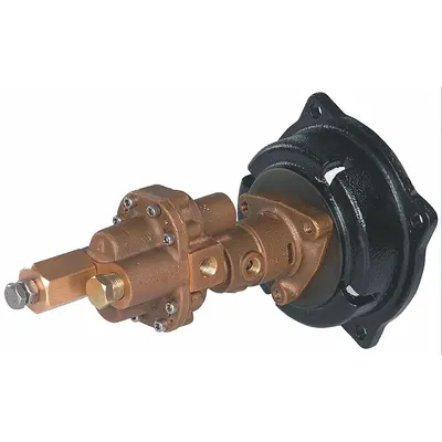 Dayton Rotary Gear Pump Head: Direct Drive, Bronze, 1" FNPT, PPS, 304 SS - C-Face Mount Gear Pump Heads