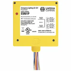 Emergency lighting bypass/shunt relay with 20 A rating and DPDT contact configuration. Enclosed pre-wired unit with 0.50 in NPT nipple for conduit mounting. Used to switch emergency lighting circuits during power loss or testing in industrial facilities.