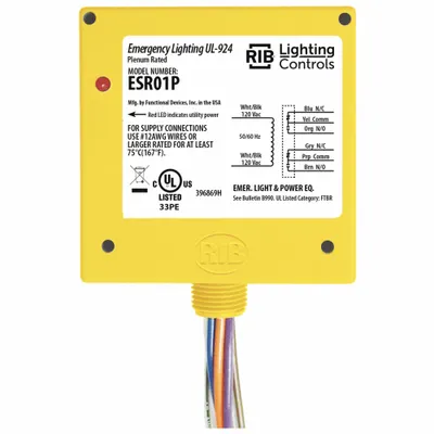 RIB ESR01P Enclosed Pre-Wired Relay, 20 A, DPDT, 0.50 in NPT - Emergency Lighting Bypass/Shunt Relays