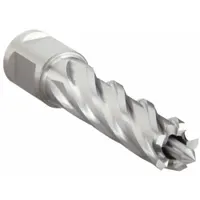 High-speed steel annular cutter with 7/16 in diameter and 2 in maximum cutting depth. Bright finish, Weldon Flat shank, includes pilot pin. For use with magnetic drilling machines to cut clean holes in metal