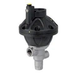 Pneumatic Valves - PN2S/500