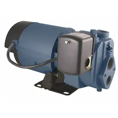 Single-phase convertible well jet pump with cast-iron construction. Rated 1 hp, 115/230V AC, 10.8 gpm. Includes pressure switch; ejector not included. Suitable for residential water supply from shallow or deep wells, with above-ground or in-well installation.