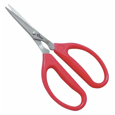 CLAUSS Shears: Ambidextrous, 6 in Overall Lg, Straight, Stainless Steel, Pointed - Plastic-Handle Scissors