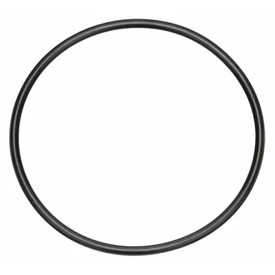 BALDWIN FILTERS O-Ring - Fuel Filter Accessories