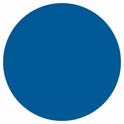BRADY Inventory Label, 3 in Dia, Blue, Circle, Paper, Indoor, No Text, 500 PK - Safety