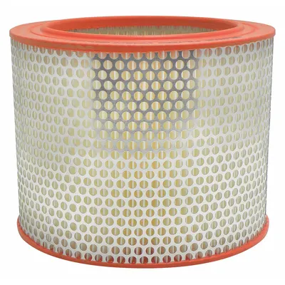 BALDWIN FILTERS PA4877 Round/Oval Engine Air Filter - Round/Oval Engine Air Filters