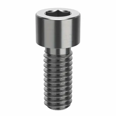 FOREVERBOLT Socket Head Cap Screw: 5/16"-18 Thread Size, 3/4 in Lg, Std, NL-19, Stainless Steel - Inch System Standard Socket Head Cap Screws