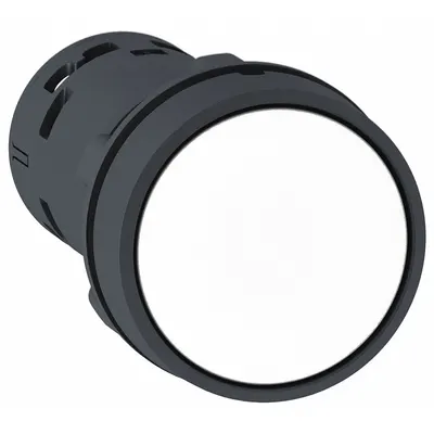 SCHNEIDER Flush Push Button: 22 mm Mounting Size, Non-Metallic - Flush-Mount & Recessed Push-Button Operators