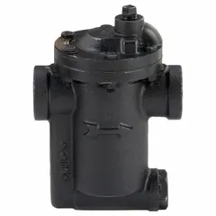 Cast iron steam trap with 1/2-inch FNPT connections, rated for 760 lb/hr capacity, 250 psi maximum pressure, and 450°F maximum temperature. Includes built-in strainer. Designed for in-line horizontal installation in steam systems to drain condensate while preventing steam loss.