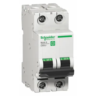 SCHNEIDER IEC Supplementary Protector: 10 A Amps, 14kA at 240V AC, Screw Clamp, C60SP - D-Curve, 2-Pole UL1077 DIN Rail-Mount Supplementary Protectors