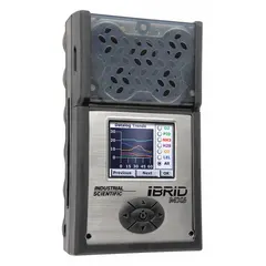 Multi-gas detector for carbon monoxide and hydrogen sulfide monitoring. Black housing with alkaline battery power. Suitable for personal safety in industrial environments such as confined spaces and area monitoring.